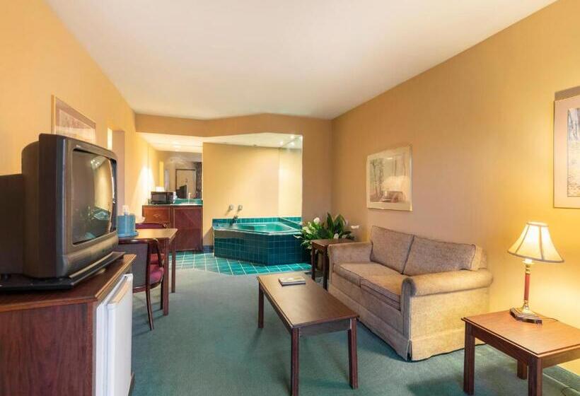 Люкс с гидромассажем, Mansion View Inn & Suites