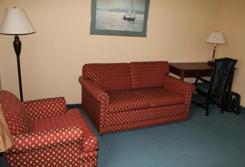 Номер Deluxe, Mansion View Inn & Suites