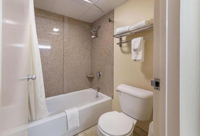 חדר סטנדרט שתי מיטות זוגיות, Mcintosh Inn