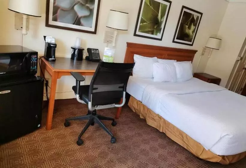 身障者適用キングサイズベッドルーム, Super 8 By Wyndham San Antonio Near Seaworld Ingram Park