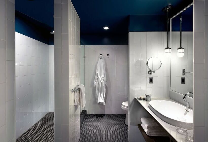 Полулюкс для Инвалидов, Thompson Chicago, By Hyatt