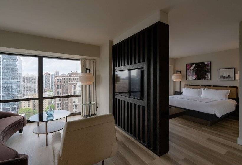 Полулюкс, Thompson Chicago, By Hyatt