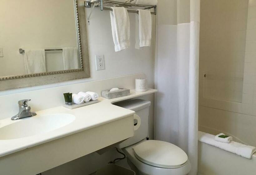 스탠다드 룸 킹사이즈 침대, La Avenida Inn