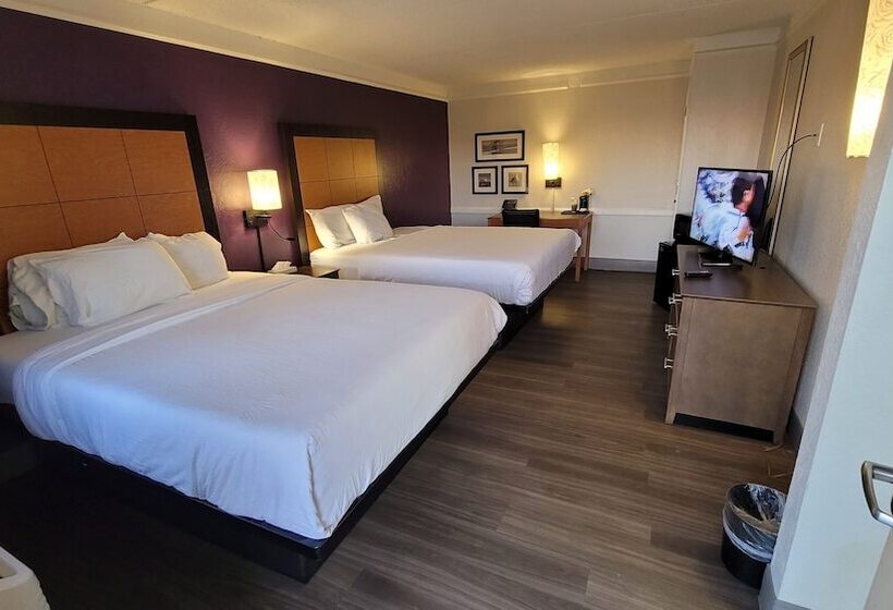 غرفة ديلوكس, Palm Bliss Hotel Corpus Christi South