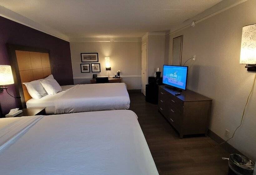 غرفة ديلوكس, Palm Bliss Hotel Corpus Christi South