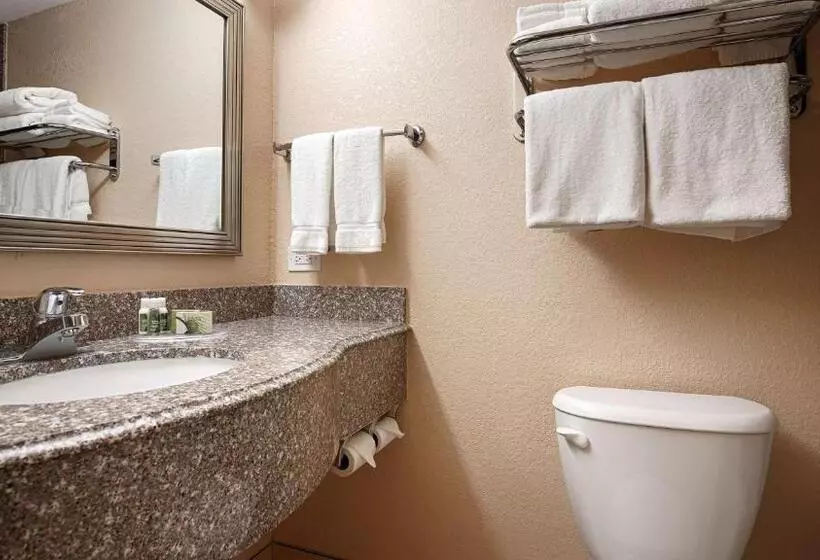 キングサイズベッドのスタンダードルーム, Best Western Plus Parkway