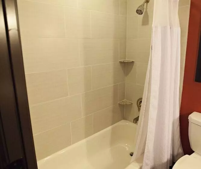 スタンダードルーム, Crowne Plaza Houston Galleria Area, An Ihg