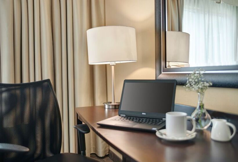 标准间, Crowne Plaza Houston Galleria Area, An Ihg