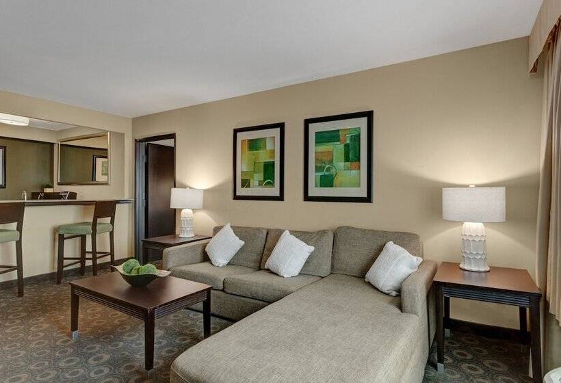 スイート, Crowne Plaza Houston Galleria Area, An Ihg