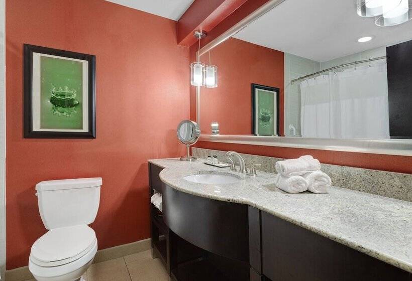 套房, Crowne Plaza Houston Galleria Area, An Ihg