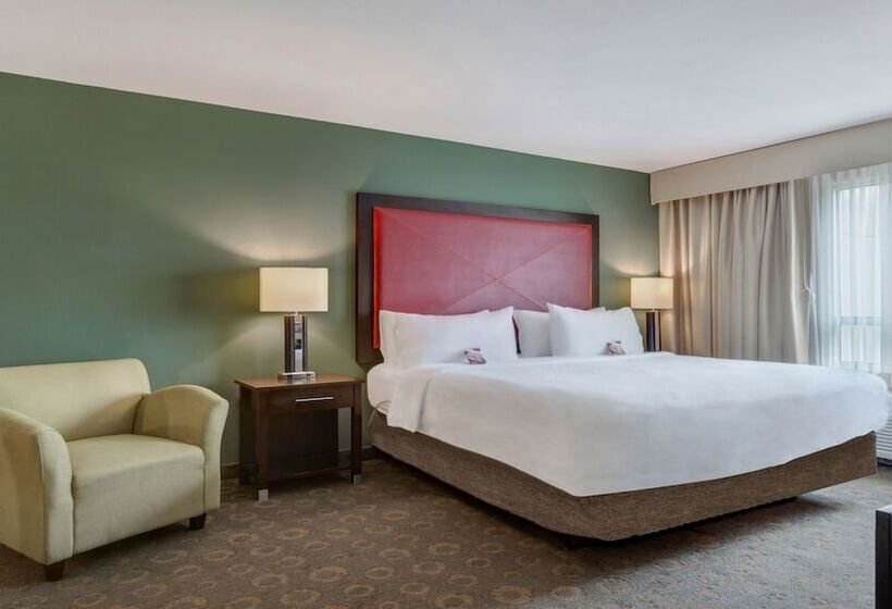 标准间, Crowne Plaza Houston Galleria Area, An Ihg