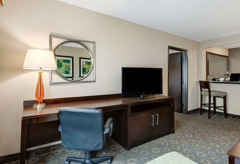 スイート, Crowne Plaza Houston Galleria Area, An Ihg