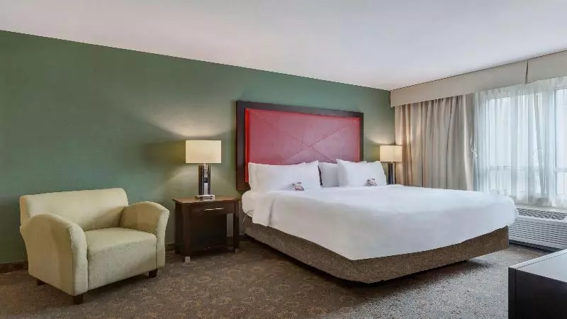 キングサイズベッドのスタンダードルーム, Crowne Plaza Houston Galleria Area, An Ihg