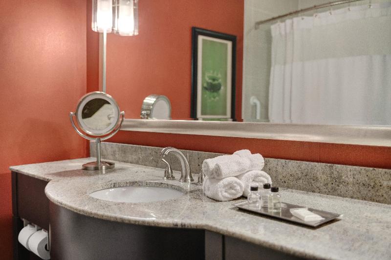 身障者適用キングサイズベッドルーム, Crowne Plaza Houston Galleria Area, An Ihg