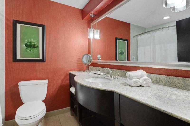 带大床的套房, Crowne Plaza Houston Galleria Area, An Ihg