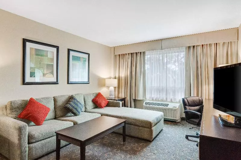 キングサイズベッドのスイートルーム, Crowne Plaza Houston Galleria Area, An Ihg