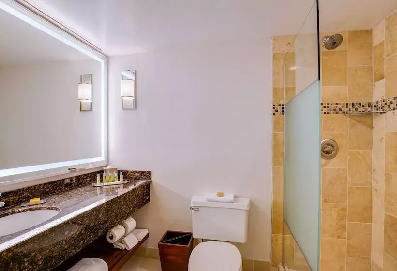 エクゼクティブスイート, Doubletree Suites By Hilton Htl & Conf Cntr Downers Grove