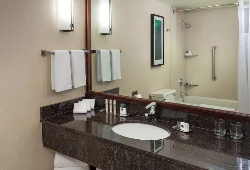 エクゼクティブスイート, Doubletree Suites By Hilton Htl & Conf Cntr Downers Grove
