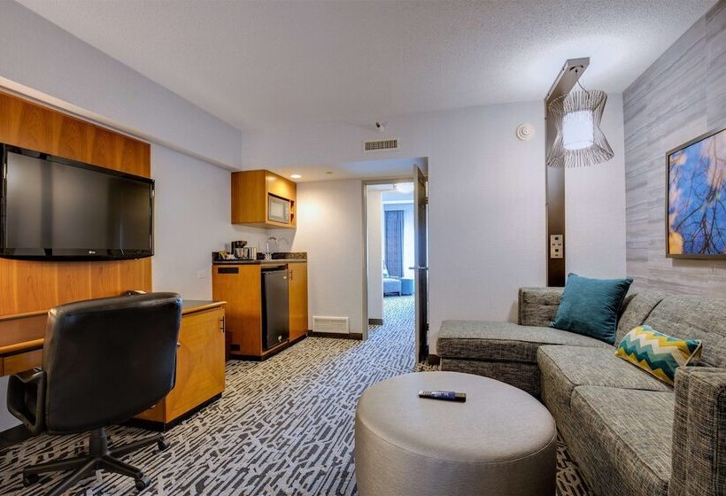 Люкс Адаптированный для Инвалидов, Doubletree Suites By Hilton Htl & Conf Cntr Downers Grove