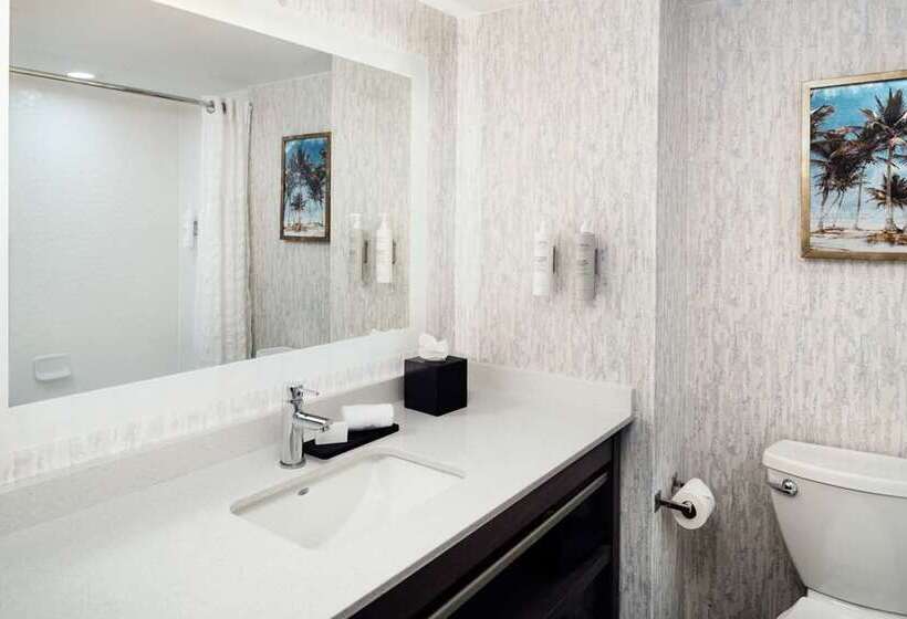 חדר סטנדרט, Embassy Suites By Hilton Orlando North