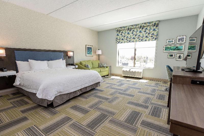 스탠다드 룸 킹사이즈 침대, Hampton Inn & Suites Syracuse North Airport Area