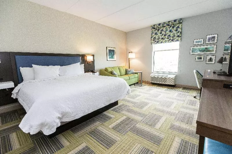 Standard-huone King-vuode, Hampton Inn & Suites Syracuse North Airport Area