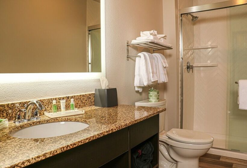 جناح مطل على البحر, Holiday Inn   Clarkston   Lewiston, An Ihg