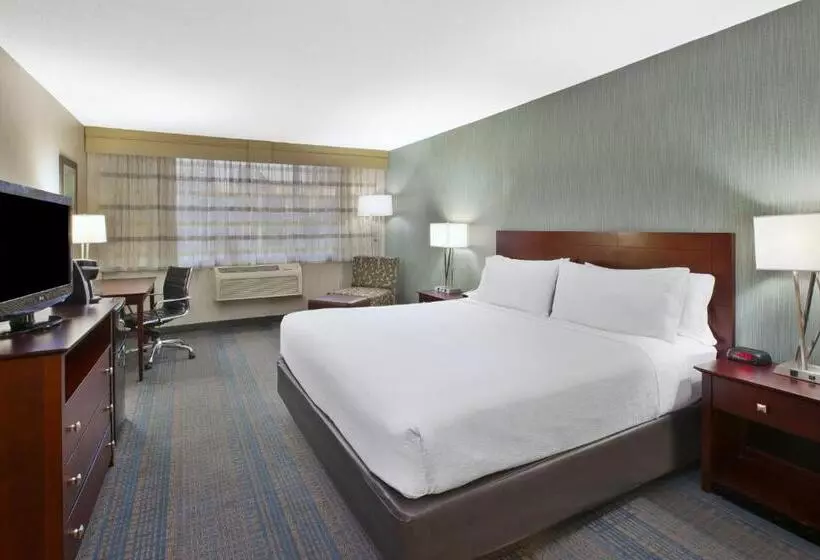 キングサイズベッドのスタンダードルーム, Holiday Inn Columbus Dwtn Capitol Square, An Ihg