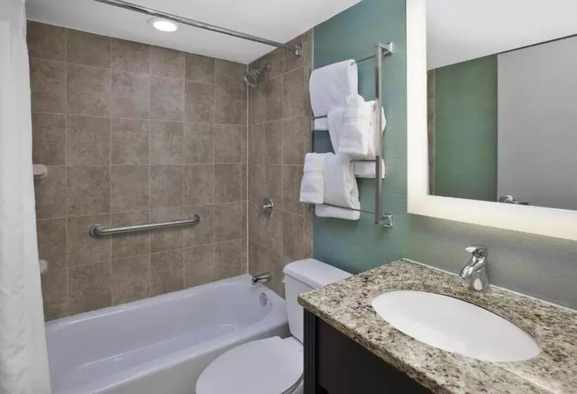 キングサイズベッドのスタンダードルーム, Holiday Inn Columbus Dwtn Capitol Square, An Ihg