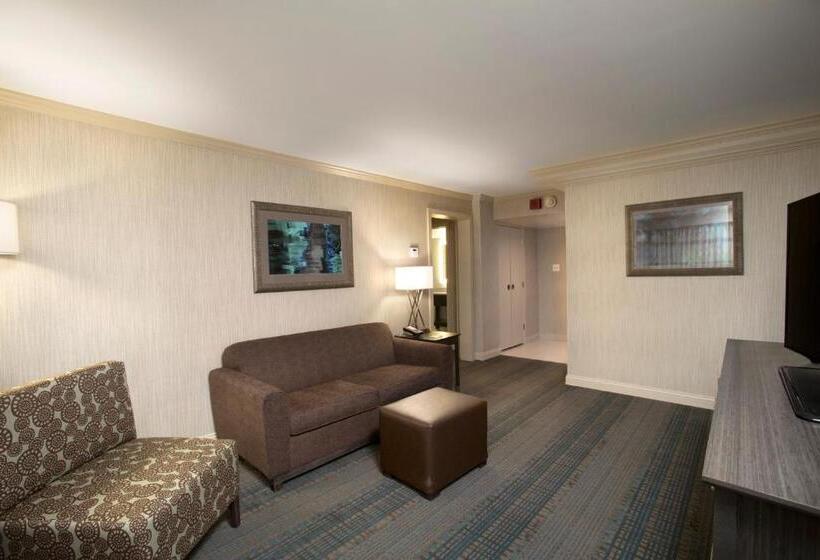 جناح سرير كينج, Holiday Inn Columbus Dwtn Capitol Square, An Ihg