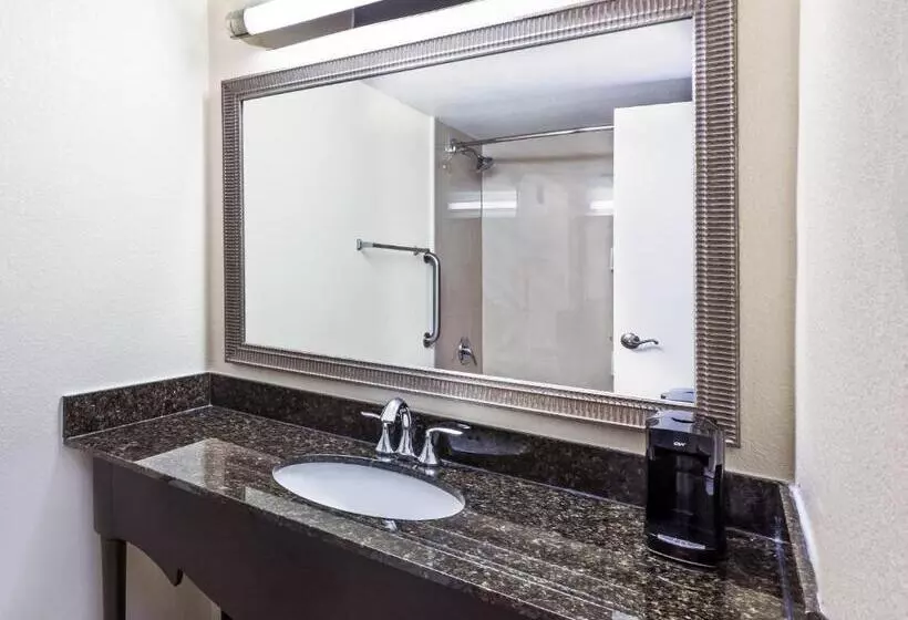 اتاق استاندارد با 2 تخت دوبل, Holiday Inn Tyler   Conference Center, An Ihg
