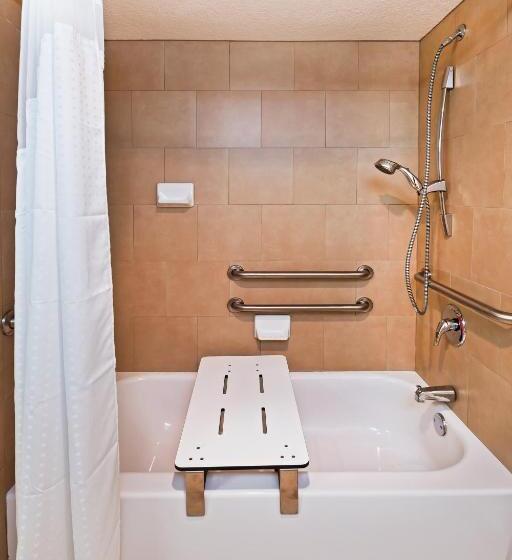 Standard Værelse King-seng Tilpasset til Handicappede, Holiday Inn Tyler   Conference Center, An Ihg