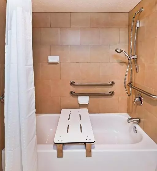 اتاق استاندارد با تخت بزرگ برای معلولان, Holiday Inn Tyler   Conference Center, An Ihg