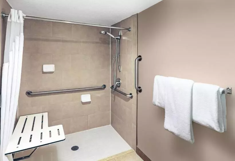 اتاق استاندارد برای معلولان, Holiday Inn Tyler   Conference Center, An Ihg