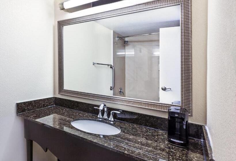 Номер Стандарт, Holiday Inn Tyler   Conference Center, An Ihg
