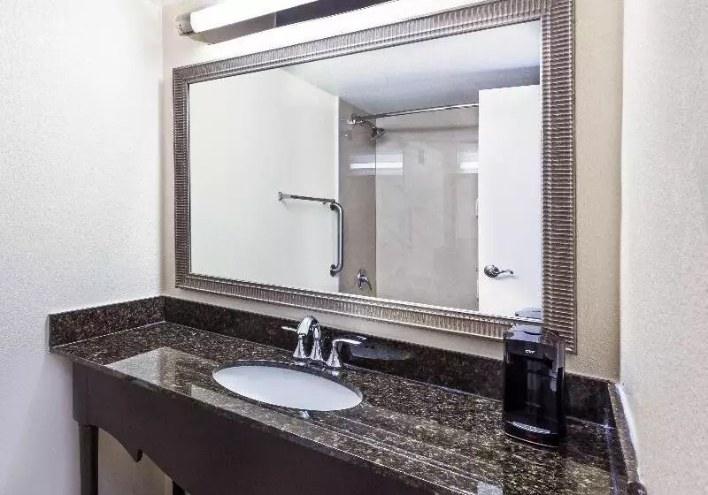 اتاق استاندارد با تخت بزرگ برای معلولان, Holiday Inn Tyler   Conference Center, An Ihg