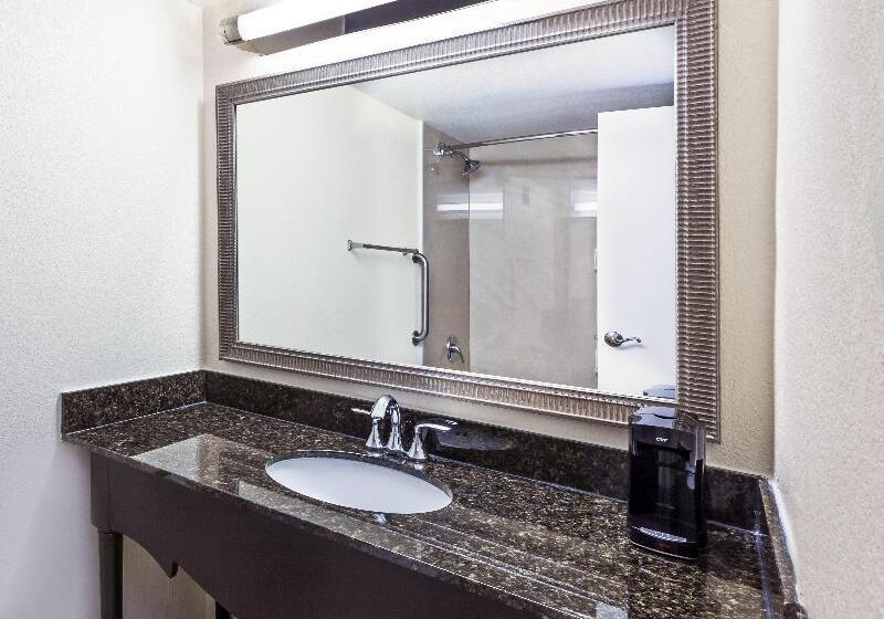 Номер Стандарт Адаптированный для Инвалидов, Holiday Inn Tyler   Conference Center, An Ihg