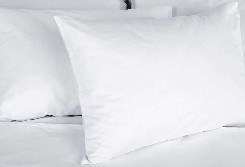 스탠다드 룸 더블 침대 2개, Magnuson Hotel Dixon