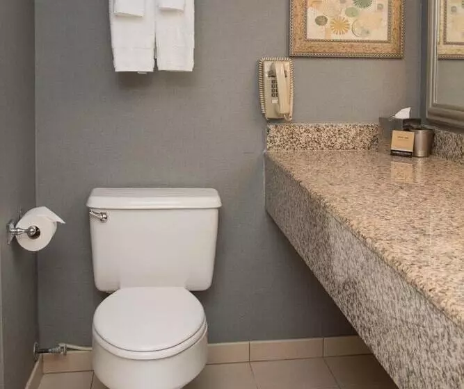 Standard-huone 2 Parivuodetta, Marriott Jacksonville Downtown