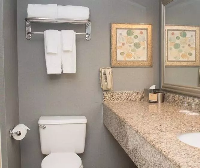 Standard-huone 2 Parivuodetta, Marriott Jacksonville Downtown