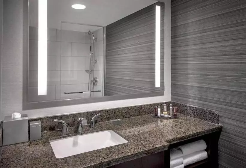اتاق استاندارد با 2 تخت دوبل, Newark Liberty International Airport Marriott