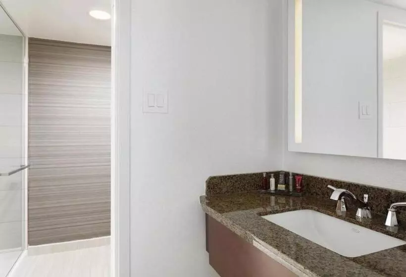 اتاق لوکس با تخت بزرگ, Newark Liberty International Airport Marriott