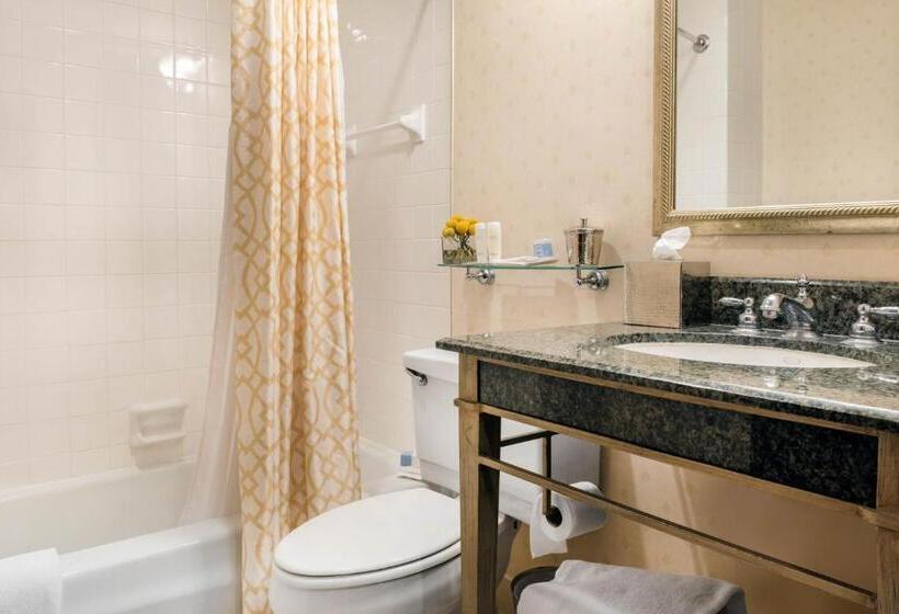 Deluxe Kamer, Omni Severin