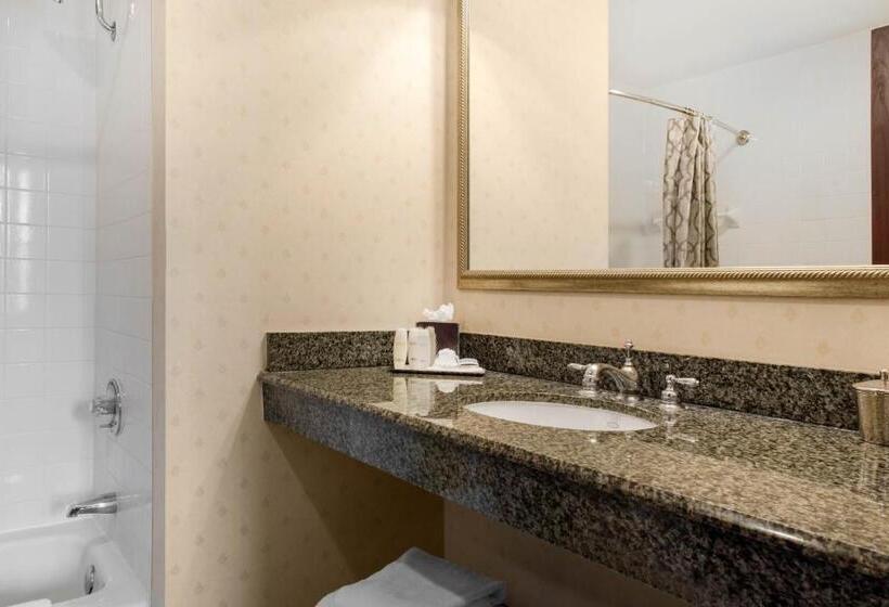 キングサイズベッドのデラックスルーム, Omni Severin