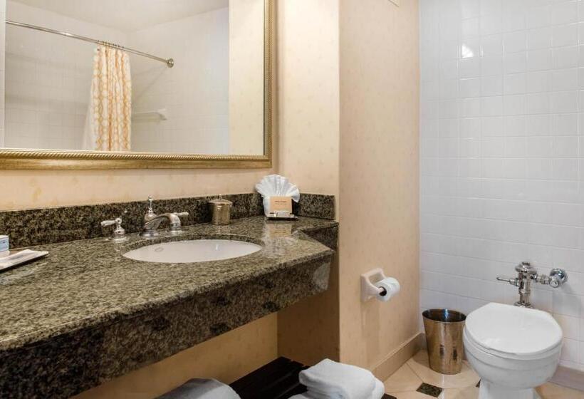 带大床的豪华间, Omni Severin