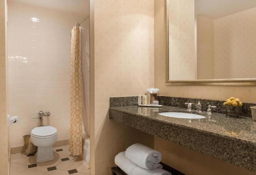 带大床的行政房间, Omni Severin