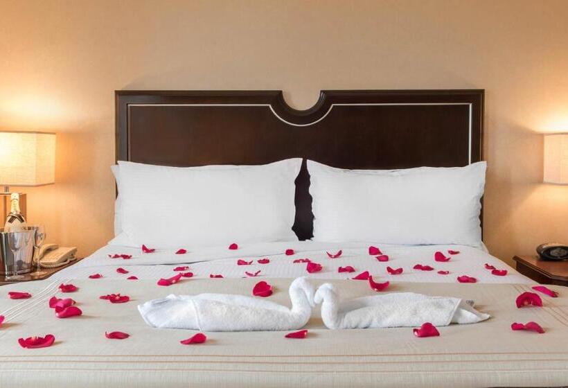 带大床的行政房间, Omni Severin