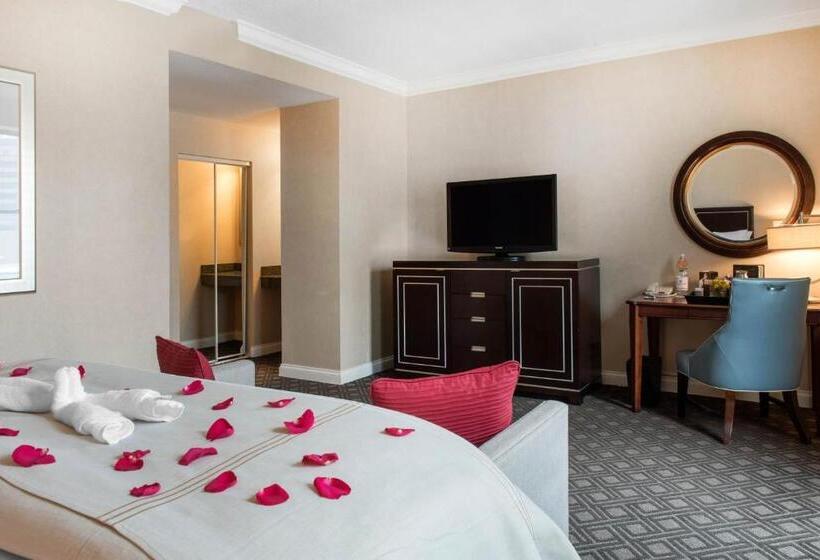 Executive Kamer met Kingsize Bed, Omni Severin