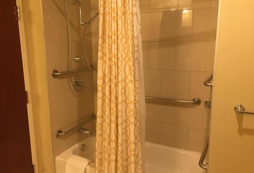 适用于残疾人士的豪华房间, Omni Severin