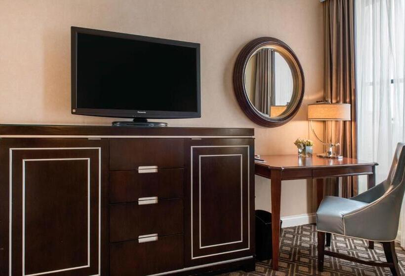 适用于残疾人士的豪华房间, Omni Severin